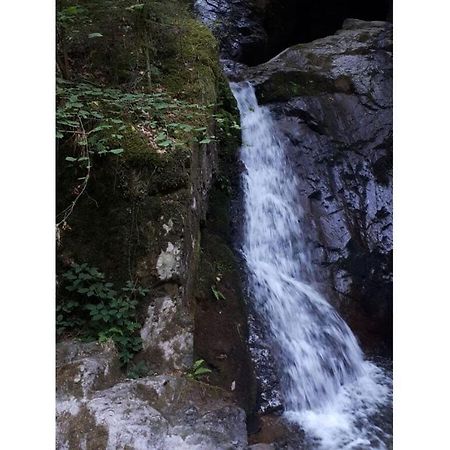 Heimatglueck Schwarzwald Villa Lautenbach Kültér fotó