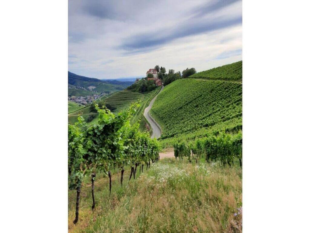 Heimatglueck Schwarzwald Villa Lautenbach Kültér fotó